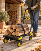 CARRELLO FOLD MAX 2 IN 1